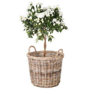 Panier de rangement décoratif en osier Décoration d'intérieur Panier tissé en rotin d'organisation - Product Image 5