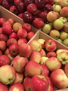 แอปเปิ้ลพรีเมียม แดงฟูจิ เขียวรอยัลกาล่า โกลเด้นเดลิเชียส กรานนี่สมิธ ผลไม้สด สำหรับซูเปอร์มาร์เก็ต ร้านค้าปลีก และธุรกิจบริการอาหาร - Product Image 4
