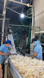 Poudre de noix de coco séchée du Vietnam, goût sucré, emballage en vrac, certifiée HACCP ISO, meilleure qualité, prix compétitif, qualité d'exportation - Product Image 2