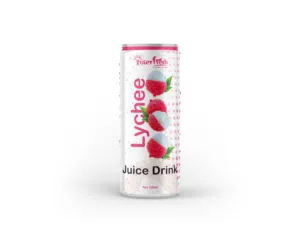 Jus de fruit INTERFRESH avec pulpe-éclatant de saveur-emballé avec Bonté exportateur vietnamien