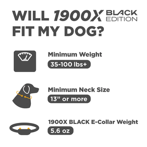 Black Edition Dog Training Collar Remote <b>Trainer</b> with LCD Display Adjustable Belt for Pet Training - Product Image 2