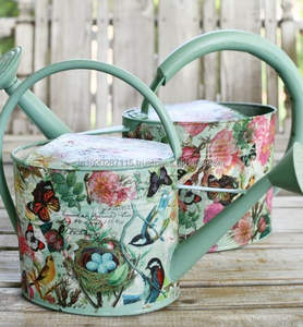 Bote de agua galvanizado con estampado de esmalte bellamente diseñado para el cuidado de plantas con estilo, decoración interior del hogar y temas rústicos - Product Image 5