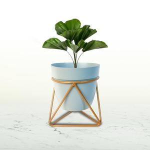 Ensemble de 2 jardinières en métal bleu clair avec supports en fer, élégantes jardinières surélevées pour la décoration de jardin intérieur moderne - Product Image 5