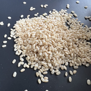 RIZ BRUN JAPONICA DE HAUTE QUALITÉ CHOIX NUTRITIF ET SAIN POUR L'EXPORTATION DU MARCHÉ DE L'UE, NOUVEAU TAUX DISPONIBLE | W/A: 0084909740687 - Product Image 3