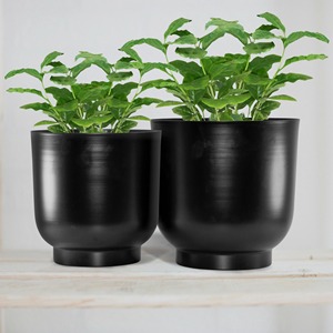 Nouveau style 2026 en gros : Jardinières d'extérieur durables et écologiques en fer thermolaqué, directement du fournisseur - Product Image 5