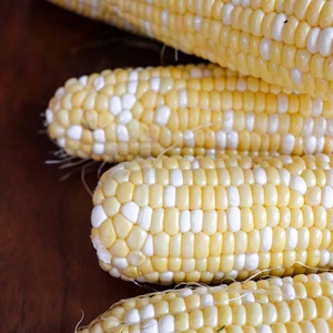 ข้าวโพดขาวอบแห้งแบบเป็นชุด คุณภาพสูง บริสุทธิ์ 100% จากธรรมชาติ เหมาะสำหรับการส่งออกและจำหน่าย - Product Image 5