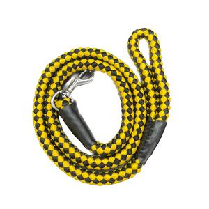 Correa de Nailon Redonda Sólida con Rayas de Encaje Ecológica de Calidad Premium para Perros, Ideal para Paseos al Aire Libre - Product Image 2