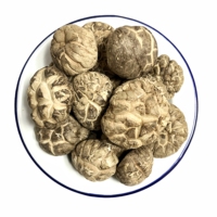 Poudre d'extrait de champignon Shiitake naturel 30% bêta-glucane