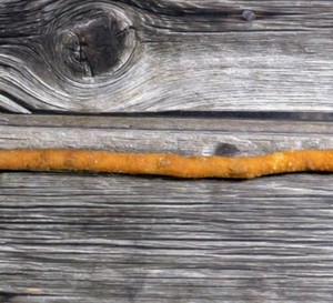Bâtonnets de Miswak Naturels pour l'Hygiène Bucco-Dentaire Quotidienne – Outil Traditionnel de Soin Dentaire à Base de Plantes pour Usage Personnel - Product Image 1