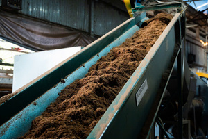 100% Natural Organic Coco <b>Peat</b> Block For Seed Starting And Plant Growth - Product Image 4