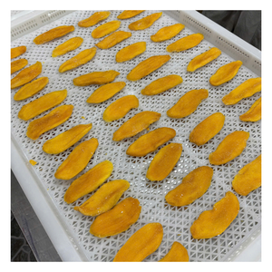 Rodajas de Mango Seco Suave de Vietnam Premium, Suministro a Granel, Sabor Dulce Natural, Textura Suave y Masticable, Snack Saludable, Ideal para Venta al por Menor - Product Image 6