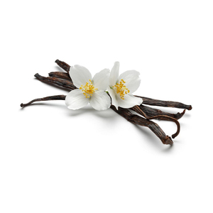 <b>vanilla</b> <b>beans</b>,<b>vanilla</b> <b>beans</b> kg,<b>vanilla</b> <b>beans</b> with best price for sale - Product Image 2