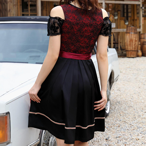 Robe traditionnelle bavaroise de haute qualité pour femmes, costume d'Oktoberfest allemand, robe Dirndl traditionnelle pour l'Oktoberfest - Product Image 2