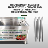 Dezoton Commerciële Groente- en Fruitwasmachine met Belletjesreinigingssysteem Restaurant Hotel Ultrasone Vaatwasser