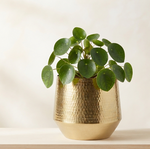 Pot de fleurs décoratif de taille moyenne en finition dorée, pour plantes de jardin, pots à fleurs et jardinières en métal, intérieur et extérieur - Product Image 2