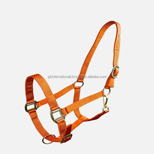 Ensemble de laisse et collier pour cheval en nylon coloré et réglable avec accessoires en or rose, laisse et collier assortis - Product Image 2