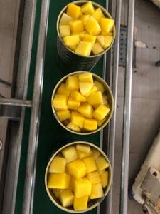 มะม่วงกระป๋องคุณภาพสูง/ความหวานจากธรรมชาติที่เข้มข้น/คุ้มค่าเป็นพิเศษ/ผลิตในเวียดนาม - Product Image 6