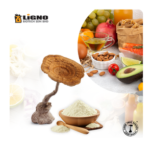 LiGNO TM02 ®   Polvo de Hongo Leche de Tigre - OEM de Malasia para Alimentos Funcionales Inmunitarios, Bebidas, Gomitas - GMP - Product Image 1