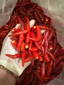 IQF Frozen <b>Red</b> <b>Hot</b> Chili Pepper Whole Natural Premium Quality Vietnam Supplier - Product Image 2