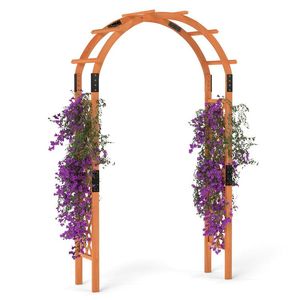 Arche de jardin en bois de 7.7 pieds pour plantes grimpantes Ornement extérieur élégant - Product Image 2