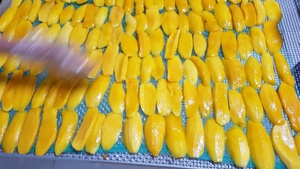 Best-Selling Grade Healthy Pure Dried Mango Natural Sour Taste Bulk Packaging and <b>Preserved</b> with Syrup Ad-Dried <b>Fruits</b> - Product Image 4