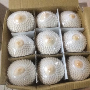 Coco de Vietnam de Buena Calidad |   Venta al por Mayor para el Mercado Global - Product Image 1