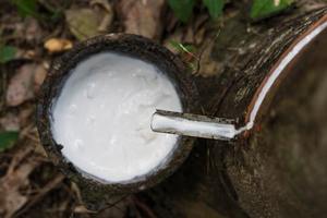 Caoutchouc naturel blanc en gros de haute qualité pour les usines de gants, la production de ballons, les produits adhésifs, l'exportation - Product Image 6