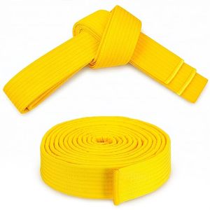 Venta al por Mayor de Uniformes de Artes Marciales, Cinturones de BJJ, Karate, Judo, Taekwondo, Cinturones Personalizados Multicolores, Cinturones de BJJ Personalizados - Product Image 1