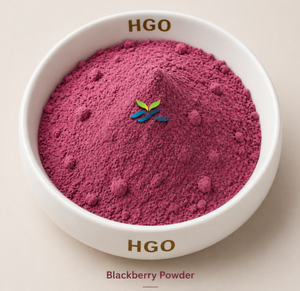 Hgo ผงแบล็กเบอร์รี่ธรรมชาติบริสุทธิ์ (เกรดอาหาร) ข้อมูลจำเพาะผงผลไม้ (ผงผักหรือผลไม้) - Product Image 1