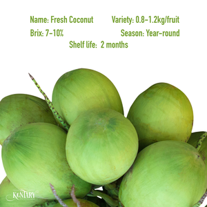 Cocos Verdes Frescos de Grado Agrícola con Cáscara Entera y Agua de Coco Dulce, Venta al por Mayor desde Vietnam - Product Image 4