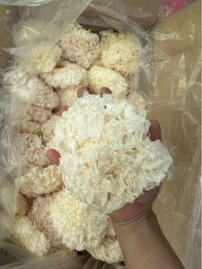 Hongo Tremella Blanco en Gelatina Seca, Procesado a partir de Hongos de Calidad, Ideal para Uso Culinario y en Postres, Producido en Vietnam - Product Image 3