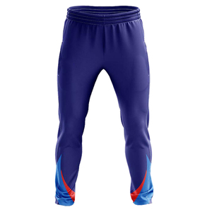 Ensemble d'uniformes de cricket personnalisés 100 % polyester de qualité supérieure, unisexe, anti-humidité, respirant, maillot et pantalon d'équipe, vente en gros OEM, coupe courte - Product Image 1