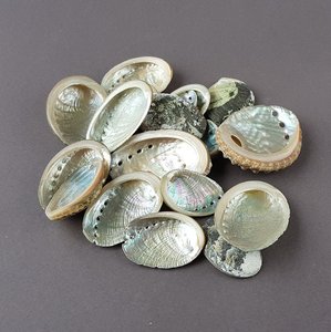 Mini <b>abalone</b> <b>shell</b> cheap price seashell for decoration wholesale high quality natural sea <b>shells</b> - Product Image 2