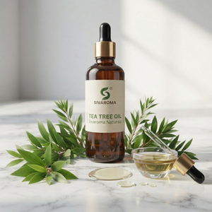 Huile essentielle d'arbre à thé pour formules de soins personnels haut de gamme, produits parfumés, savons et applications de fabrication sous contrat - Product Image 3