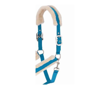 Corde de trelage pour chevaux en coton tressé robuste avec quincaillerie de qualité supérieure pour l'équitation, le toilettage et la gestion de l'écurie - Product Image 2