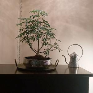 Regadera de Metal con Diseño Grabado en Plata Tradicional para Regar Plantas en Maceta, Suculentas, Orquídeas y Vegetación Interior - Product Image 3