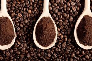 Café Arabica vietnamien torréfié de haute qualité, meilleur prix, processus entièrement lavé, provenant de Son La, 2026 - Product Image 3