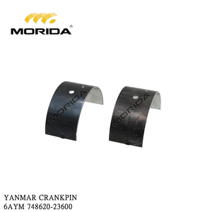 148620-33010 ชุดประกอบแกนกลาง 6AYM สำหรับยันม่าร์ - Product Image 2