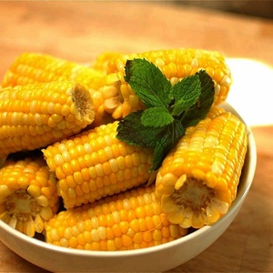 Maíz dulce entero en lata SÚPER SABROSO 430gr Hecho de ingredientes naturales MAIZ bebé enlatado - Product Image 4