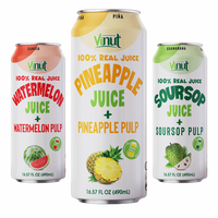 Variëteit Gearomatiseerde Vruchtensap 490Ml Met Pulp, Suikervrij, Private Label, Oem/Odm, Fabrieksprijs Vietnam