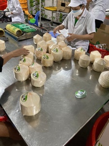 [2025พืชใหม่] มะพร้าวสดจากเวียดนามไดมอนด์คัทเปิดง่ายน้ำมะพร้าวหวานขายส่งจำนวนมาก - Product Image 3