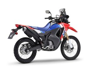 รถอเนกประสงค์รุ่นใหม่ล่าสุด ปี 2025C R-F300L Rally-286cc Adventure-dual-sport 2000W+ >80กม./ชม. OEM/ODM รับประกัน 3 ปี - Product Image 3