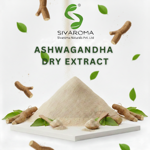 Poudre d'extrait d'Ashwagandha sauvage 80% pour formules nutritionnelles et cosmétiques, norme d'exportation, service OEM/ODM, marque privée - Product Image 4