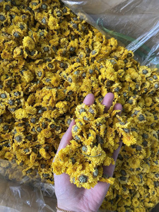 Thé de chrysanthème naturel du Vietnam, fleurs cueillies à la main, thé de fleurs séchées pour infusion en tasse, bourgeons de fleurs séchées parfumés, vente en gros - Product Image 6