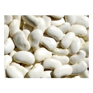 ถั่วขาวคุณภาพดี ขายดี ถั่วขาวแห้งเพื่อสุขภาพ - Product Image 2