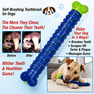 Limpiador Dental para Perros, Herramienta de Limpieza Dental e Higiene Bucal para Perros y Cachorros, Proveedor Mayorista - Product Image 5