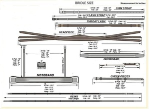 2026 Brida Hackamore de Cuero Inglés de Alto Rendimiento Sin Bocado, con Almohadilla de Mejilla Única y Correa Ajustable para un Control Suave en Caballos - Product Image 2