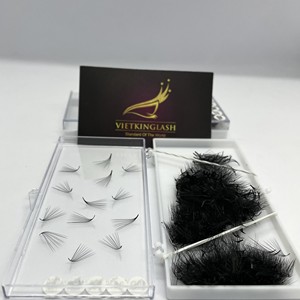 Extensions de cils VIETKINGLASH, courbure CC/D/DD/M/L, longueur 7-20mm, faites à la main, volume pré-fait, éventail souple, aspect naturel - Product Image 1