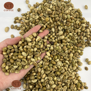 Best Price Culi Green <b>Coffee</b> <b>Beans</b> Specialty Grade Raw <b>Beans</b> for <b>Coffee</b> Manufacturers Top Selling Vietnam Green <b>Coffee</b> <b>Beans</b> - Product Image 1