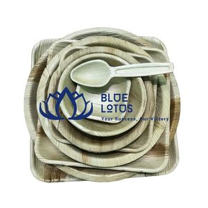 Assiettes Modernes Jetables Compostables et Biodégradables en Feuilles de Palmier de 10 Pouces, Lot de 50, Écologiques, pour Barbecue et Fêtes – Vente Flash - Product Image 1